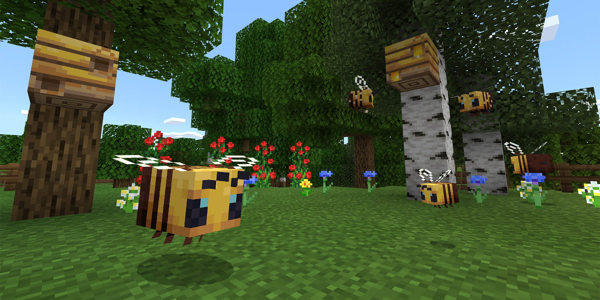 Bees_2000x1000_NO_LOGO.jpg