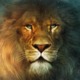 User Avatar Image