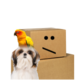 User Avatar Image