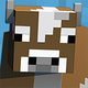 User Avatar Image